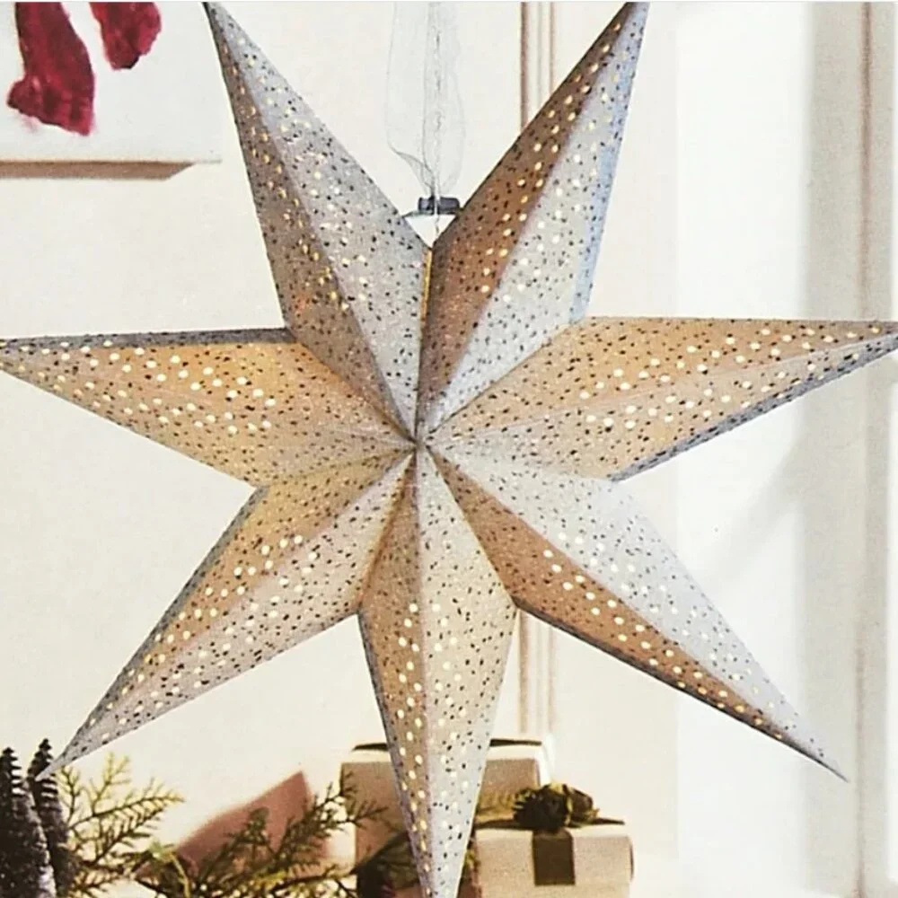NEW Light Up Battery Operated Flocked Star Christmas Hanging Decoration Decor Ho